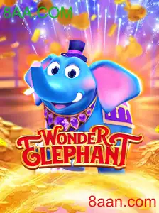 WonderElephant